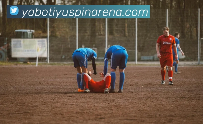 亚博体育平台生态图