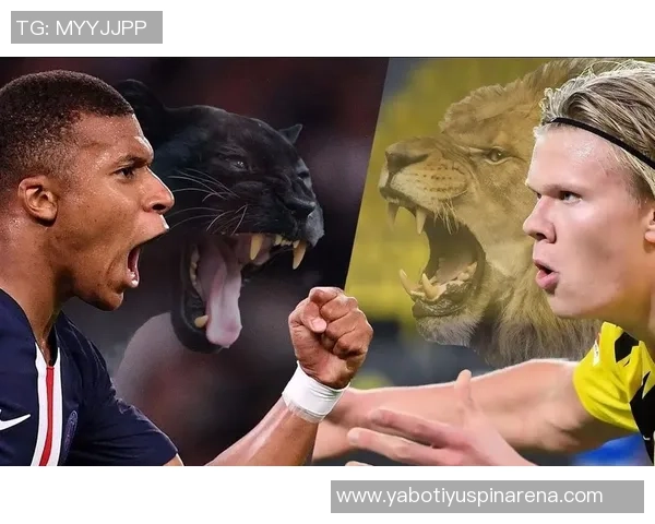 挪威教练谈哈兰德与姆巴佩对国家足球的深远影响与期待